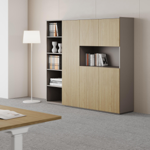 Modernes Büro -Bücherregal mit Schranktüren